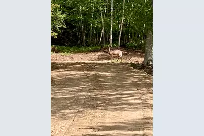 Lot 9-Part Rt 190 Road, Eastport, ME 04631 - Photo 18