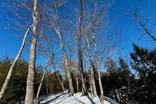 49 Valley Dale Dr, Skowhegan, ME 04976 - Photo 76