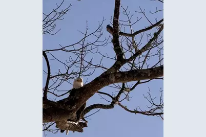 70 Maquoit Drive, Freeport, ME 04032 - Photo 32