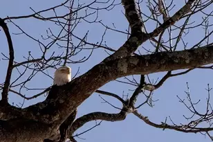 70 Maquoit Dr, Freeport, ME 04032 - Photo 32