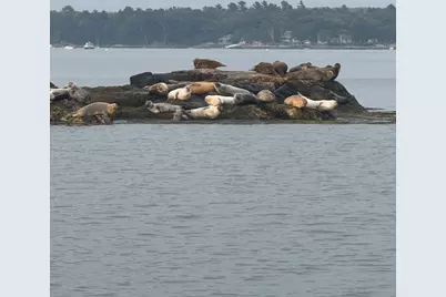 70 Maquoit Drive, Freeport, ME 04032 - Photo 34