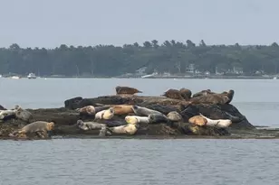 70 Maquoit Dr, Freeport, ME 04032 - Photo 34