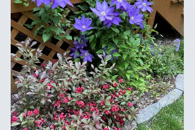 11 Anderson Avenue, Westbrook, ME 04092 - Photo 22