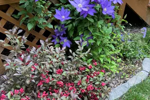 11 Anderson Ave, Westbrook, ME 04092 - Photo 22