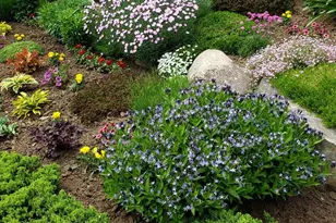 27 Prairie Rd, Salem Twp, ME 04983 - Photo 96