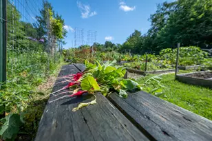 58 Harbor View Dr, Stockton Springs, ME 04981 - Photo 84