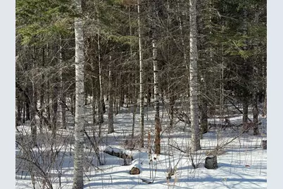 0 Skedgell Road, Cary, ME 04471 - Photo 6