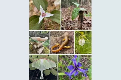 80 Wheaton Way, Bradford, ME 04410 - Photo 36