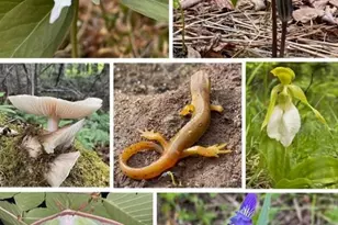 80 Wheaton Wy, Bradford, ME 04410 - Photo 36