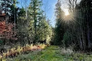 80 Wheaton Wy, Bradford, ME 04410 - Photo 38