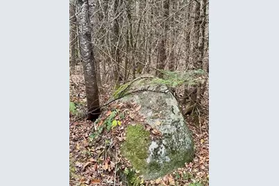 80 Wheaton Way, Bradford, ME 04410 - Photo 40