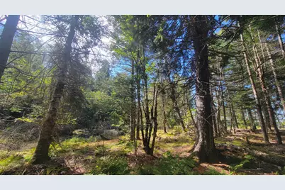 Lot 1 & 5 Evergreen Point Road, Jonesboro, ME 04648 - Photo 12