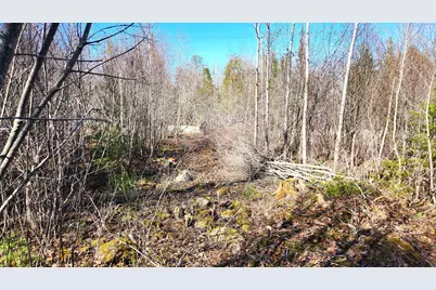 10 Bowling Green Lane, Belfast, ME 04915 - Photo 2