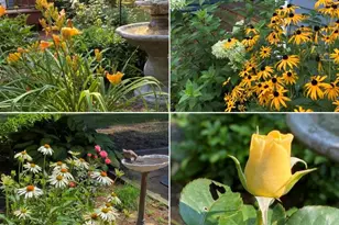 62 Webster Rd, Freeport, ME 04032 - Photo 42