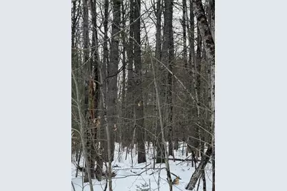 Lot 1 Willow Way, Jefferson, ME 04348 - Photo 4