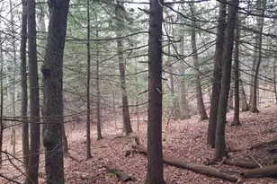 [Address not provided], Windham, ME 04062 - Photo 24