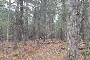 [Address not provided], Windham, ME 04062 - Photo 12