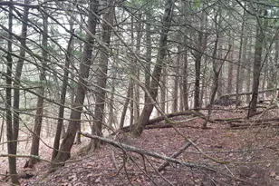 [Address not provided], Windham, ME 04062 - Photo 22