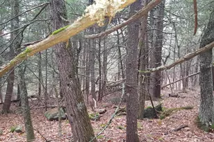 [Address not provided], Windham, ME 04062 - Photo 20