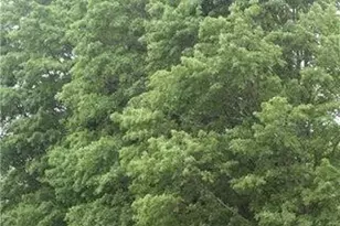 1031 Poors Mill Rd, Waldo, ME 04915 - Photo 56