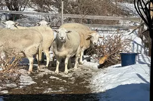 1031 Poors Mill Rd, Waldo, ME 04915 - Photo 50