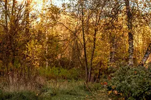 48 Main Rd, Charleston, ME 04422 - Photo 74