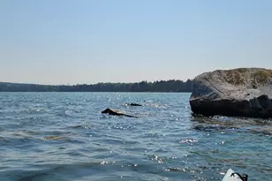 45 Missy Way, Steuben, ME 04680 - Photo 62