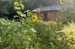 164 Lincoln St, Old Town, ME 04468 - Photo 6