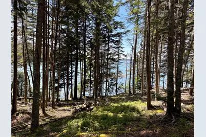 Lot 15 Collins Cove Road, Machiasport, ME 04655 - Photo 6
