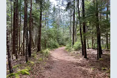 Lot 15 Collins Cove Road, Machiasport, ME 04655 - Photo 12