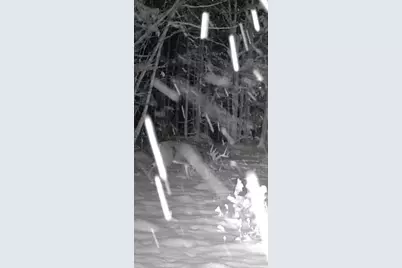 465 Powers Road, Pittsfield, ME 04967 - Photo 40