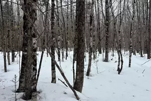 465 Powers Rd, Pittsfield, ME 04967 - Photo 24