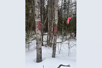 465 Powers Road, Pittsfield, ME 04967 - Photo 34