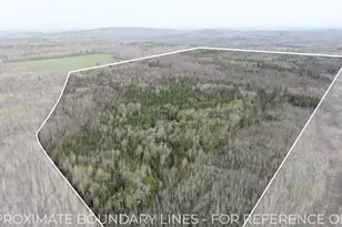 465 Powers Rd, Pittsfield, ME 04967 - Photo 4