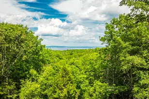 1025 Douglas Dr, Northport, ME 04849 - Photo 10