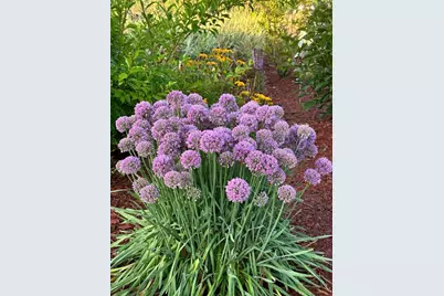 7 Fox Run Road, Orland, ME 04472 - Photo 26