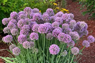 7 Fox Run Rd, Orland, ME 04472 - Photo 26