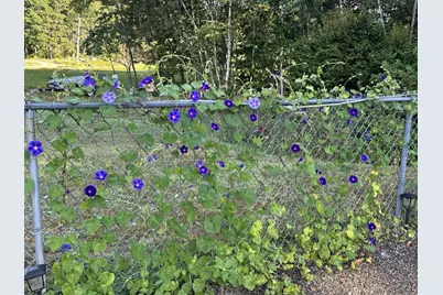 7 Fox Run Road, Orland, ME 04472 - Photo 28