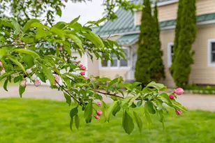 303 Williams Rd, Bradford, ME 04410 - Photo 4