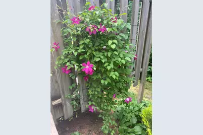 104 Evergreen Drive #104, Waterville, ME 04901 - Photo 46