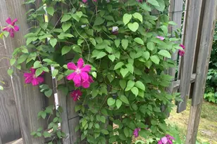 104 Evergreen Dr, Waterville, ME 04901 - Photo 46