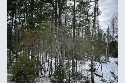 04-45.10,0 East Jemtland Road, ConnorTownship, ME 04736 - Photo 2