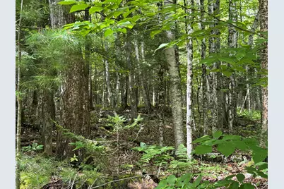 105 Poplar Point Road, Mount Vernon, ME 04352 - Photo 18