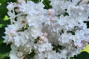 3190 Middle Rd, Sidney, ME 04330 - Photo 76