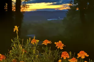 15 Presidential View, Raymond, ME 04071 - Photo 64