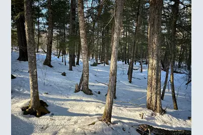 M7L22,L31 Nelson Ridge Road N, Washington, ME 04574 - Photo 28