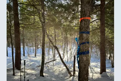 M7L22,L31 Nelson Ridge Road N, Washington, ME 04574 - Photo 30