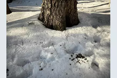 M7L22,L31 Nelson Ridge Road N, Washington, ME 04574 - Photo 38