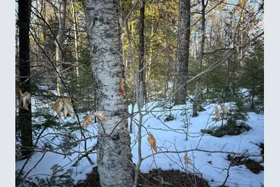 M7L22,L31 Nelson Ridge Road N, Washington, ME 04574 - Photo 22