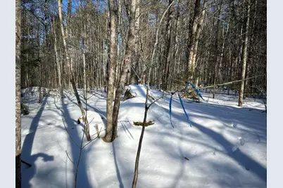 M7L22,L31 Nelson Ridge Road N, Washington, ME 04574 - Photo 42